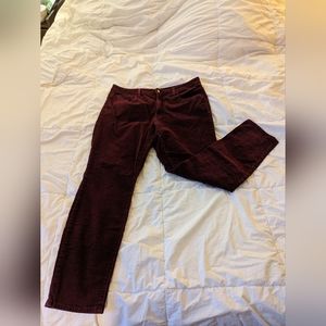 Corduroy Maroon Pants